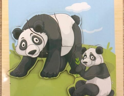 بازل الأمومة – الباندا